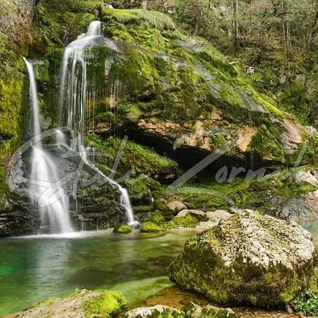 Triglav Apartmaji *